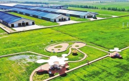 【高质量发展企业调研行】奶业闯关！网红是什么意思