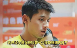 吃大瓜了娱乐圈,揭秘明星幕后故事