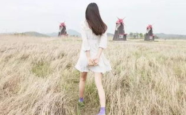 娱乐吃瓜酱背影图片,一场视觉与情感的邂逅