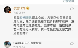 娱乐圈吃瓜观后感,揭秘明星背后的真相与争议