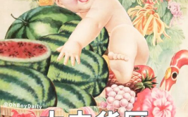 娱乐吃瓜图鉴在哪看啊,全网热门观看指南