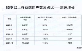 网络娱乐交友类有哪些网站泛娱乐场景下的银发经济：老龄用户画像及触网行为分析