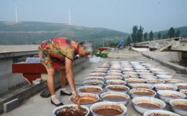 娱乐吃瓜酱农村,揭秘农村生活的趣味瞬间