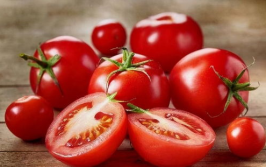 番茄小说吃瓜娱乐圈,番茄小说中的吃瓜日常