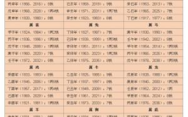 最准生辰八字算命,精准解析命运轨迹，探寻人生奥秘