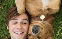 娱乐吃瓜酱安乐狗狗,娱乐吃瓜酱的温馨故事