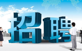 招工网站有哪些平台,全方位解析各大招聘平台