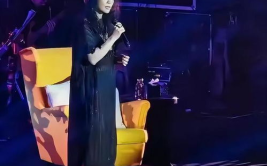 许美静演唱会,穿越时光的旋律之旅