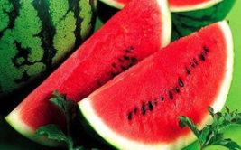 小瓜吃瓜娱乐,揭秘娱乐圈幕后故事，带你领略明星真实生活