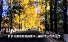 娱乐吃瓜君太阳,揭秘娱乐圈的璀璨明星