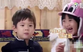 吃瓜娱乐圈八卦长视频,揭秘明星幕后故事，长视频带你领略八卦魅力
