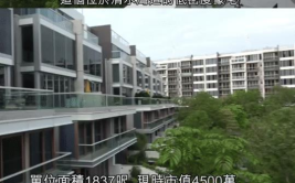 娱乐吃瓜酱朋友借米,揭秘朋友借米背后的故事