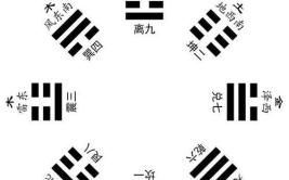 娱乐随拍吃瓜八卦图,随拍揭秘明星私生活八卦瞬间