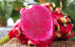 娱乐吃瓜火龙果视频,娱乐吃瓜盛宴，带你领略网络娱乐新潮流