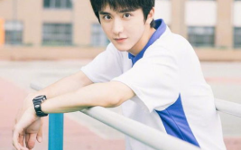 娱乐圈吃瓜爆料张新成,揭秘背后的真相与争议