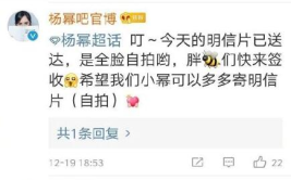 娱乐吃瓜评论怎么写,揭秘明星幕后故事