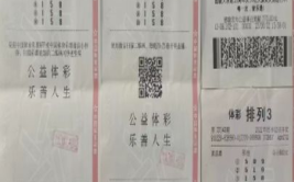中国体育彩票排列三,数字背后的体育彩票文化与社会意义