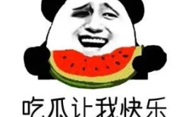 吃娱乐八卦的瓜,揭秘明星们的幕后故事与八卦传闻